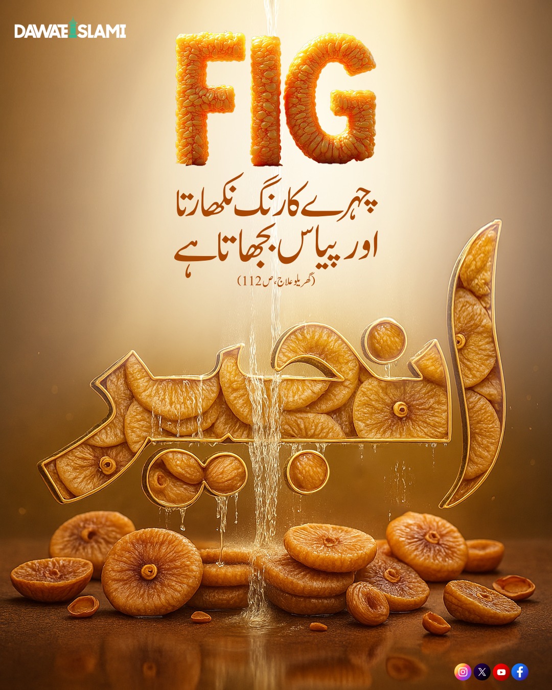 Qudrat Ka Anmol Tohfa Injeer