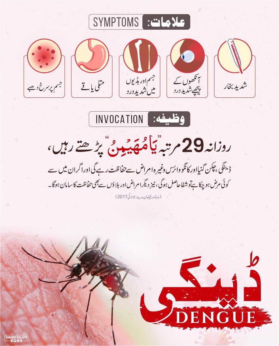 Dengue Se hifazat Ka Wazifa 