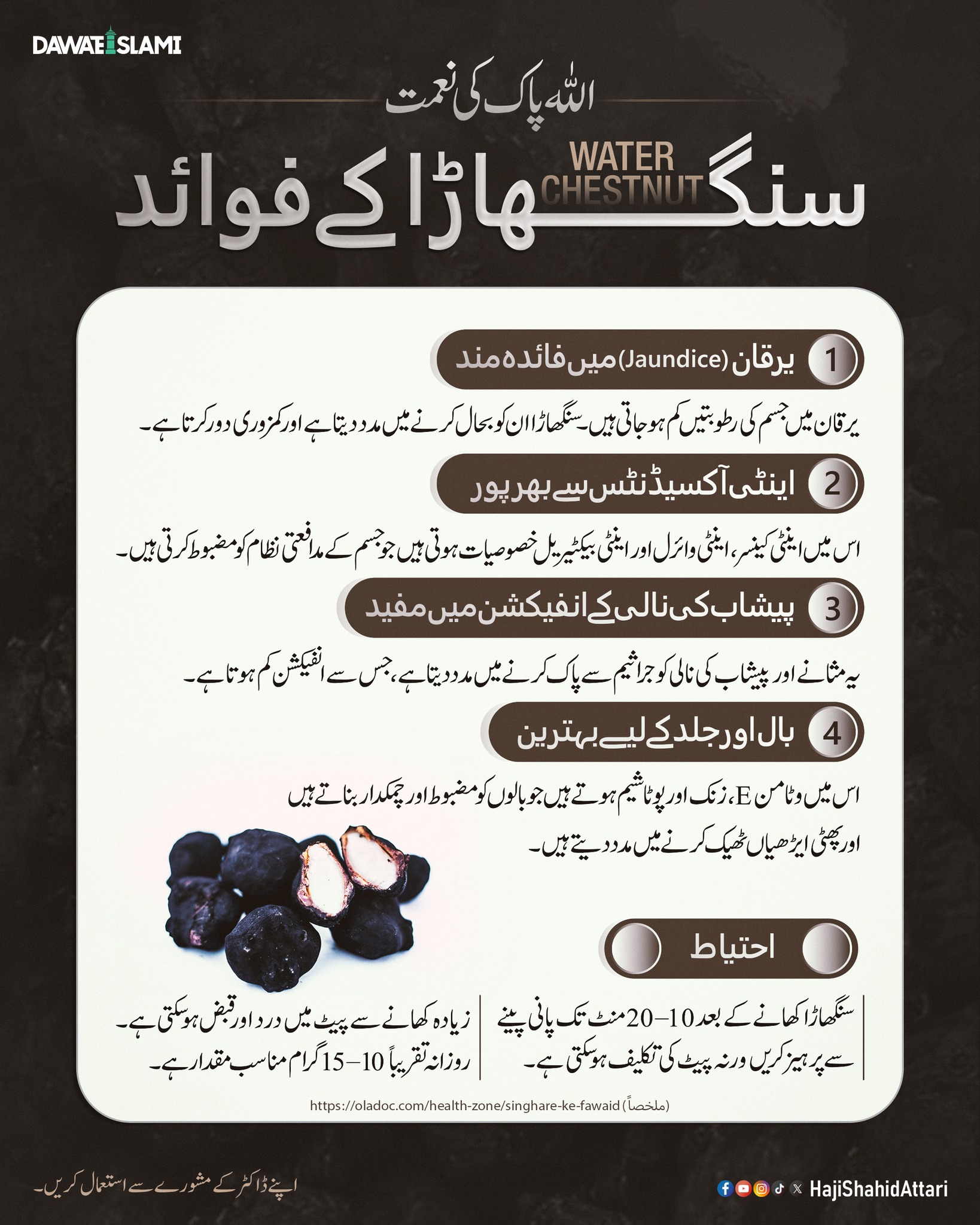 Singharay Kay 4 Qeemti Fawaid