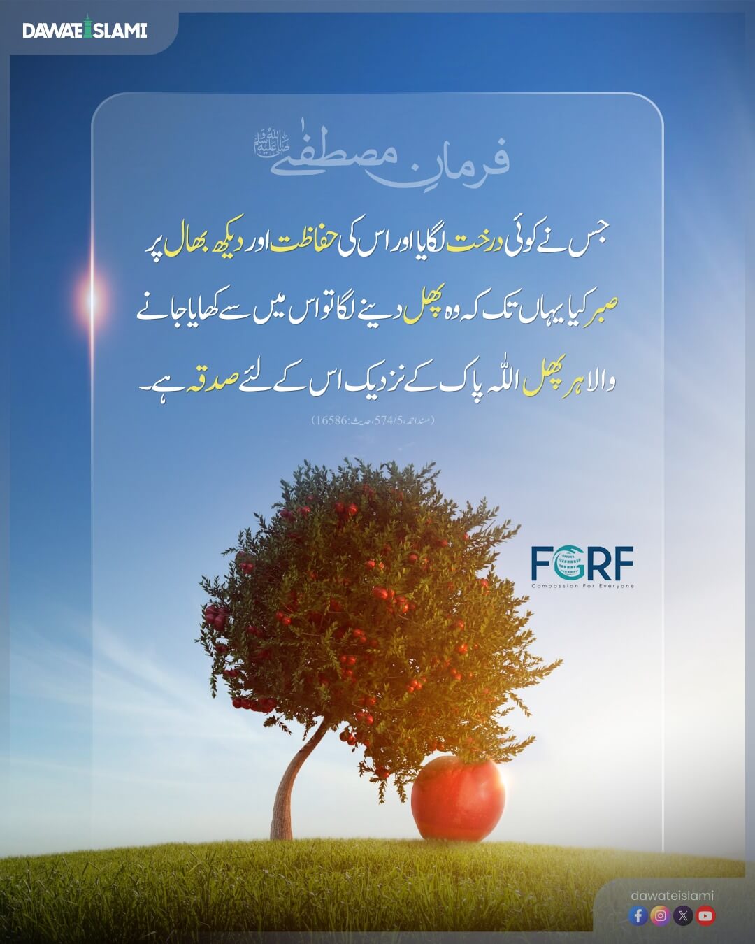 Darakht Laga Kar Uski Hifazat Karne Ka Ajar