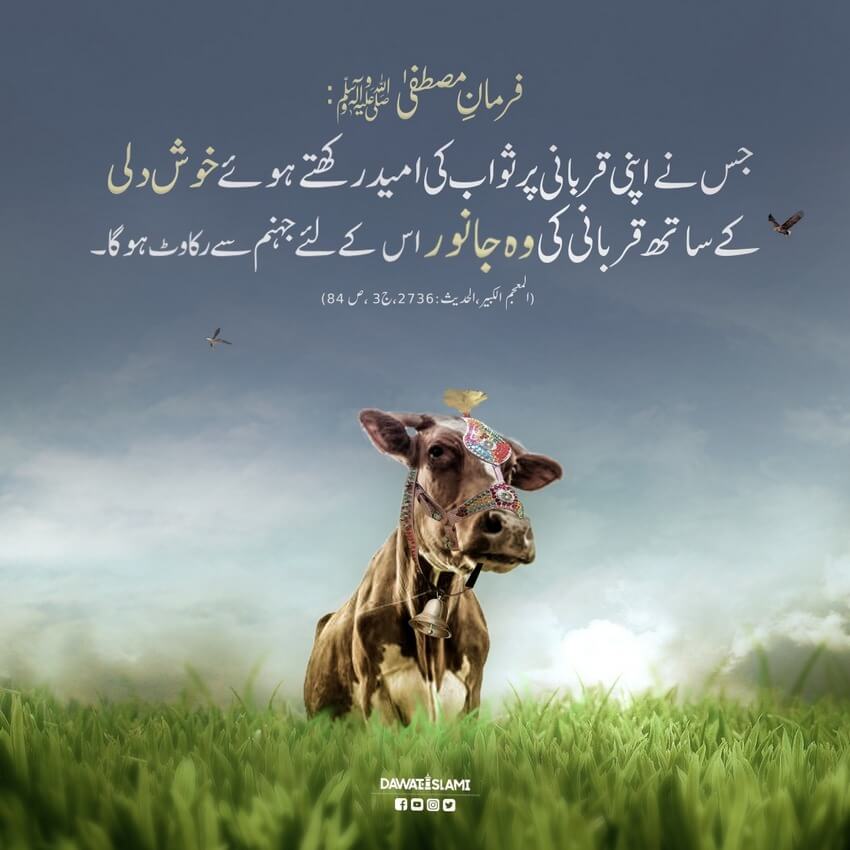 Khush Dili Se Qurbani Karne Walon Kay Liye Ajar e Azeem