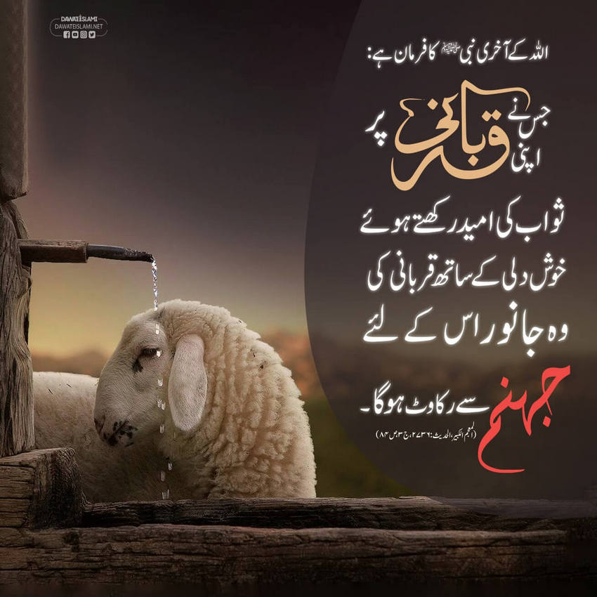 Qurbani Ka Janwar Baroz e Qayamat Jahannum Se Rukawat