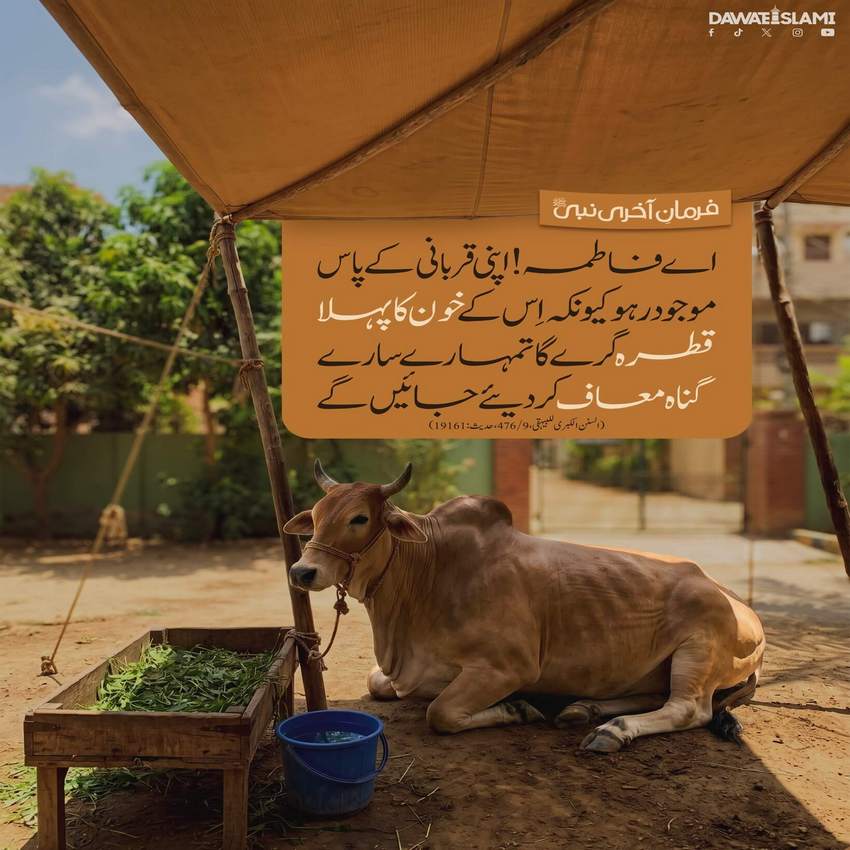 Qurbani Gunahon Ki Muafi Ka Sabab Hai