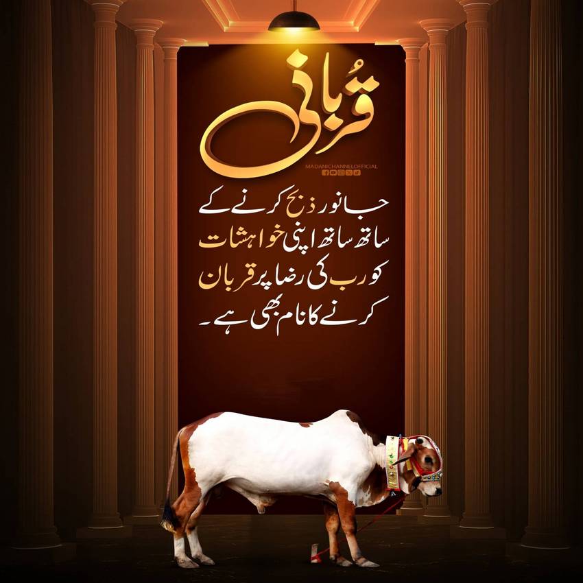 Qurbani Ka Ahem Maqsad