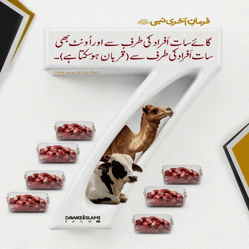 Gaey Aur Oont Ki Qurbani Kay 7 Hissay