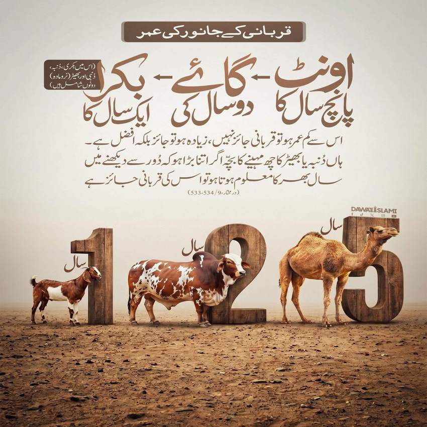 Qurbani Kay Janwar Ki Umar