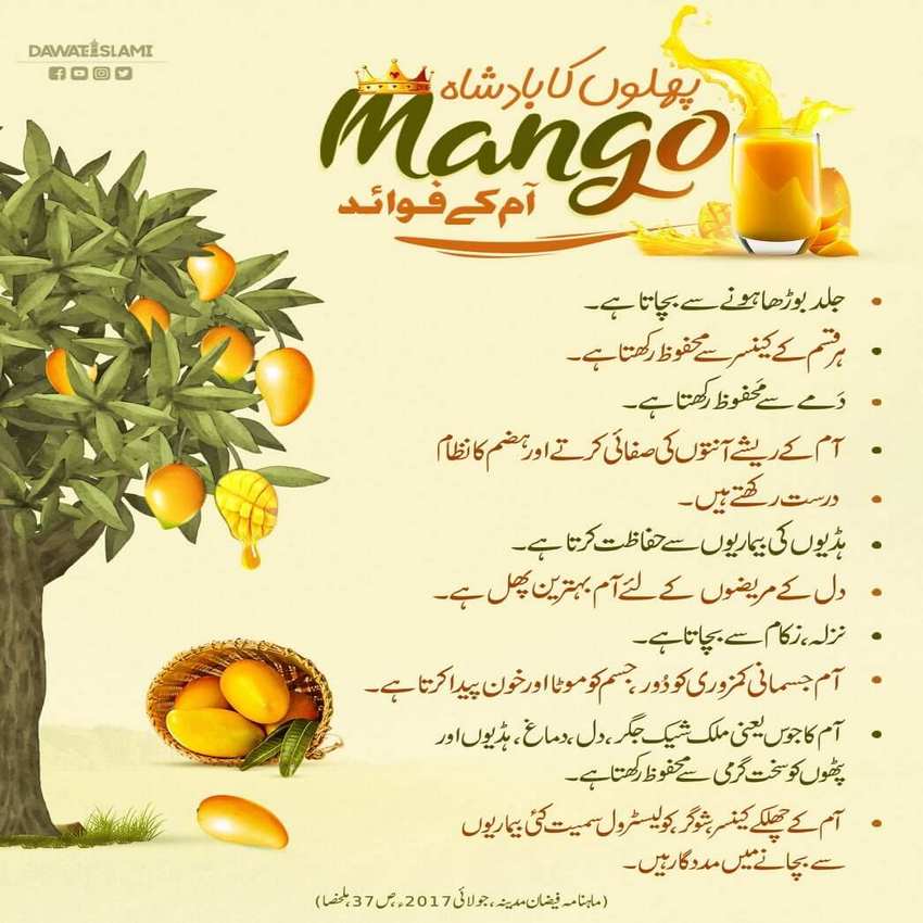 Phalon Kay Betaj Baadshah Aam Kay Fawaid