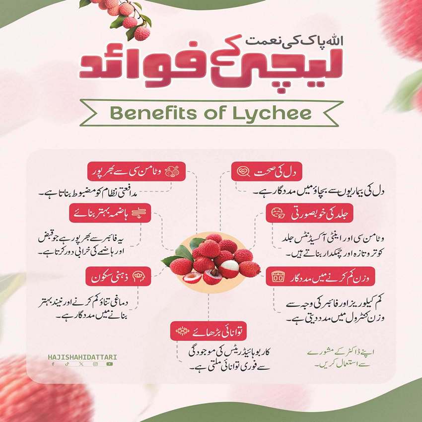 Allah Pak Ki Naimat Leechi Kay Faiday