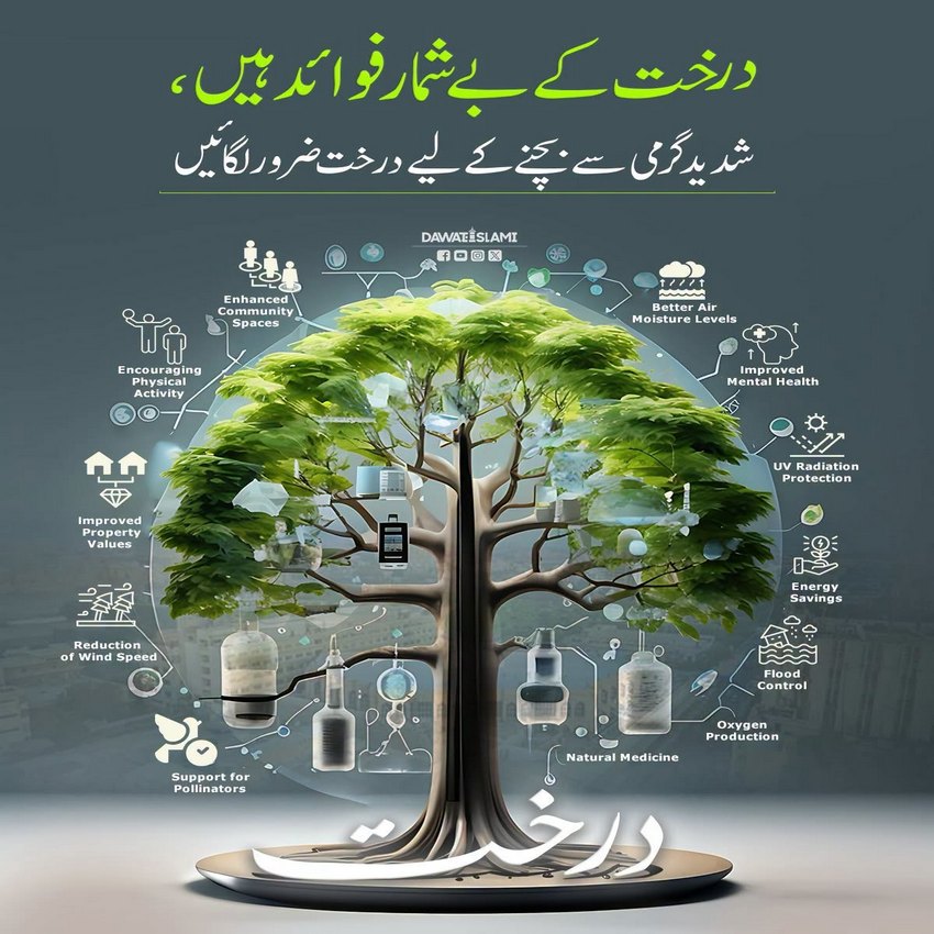 Darakht Kay Fawaid