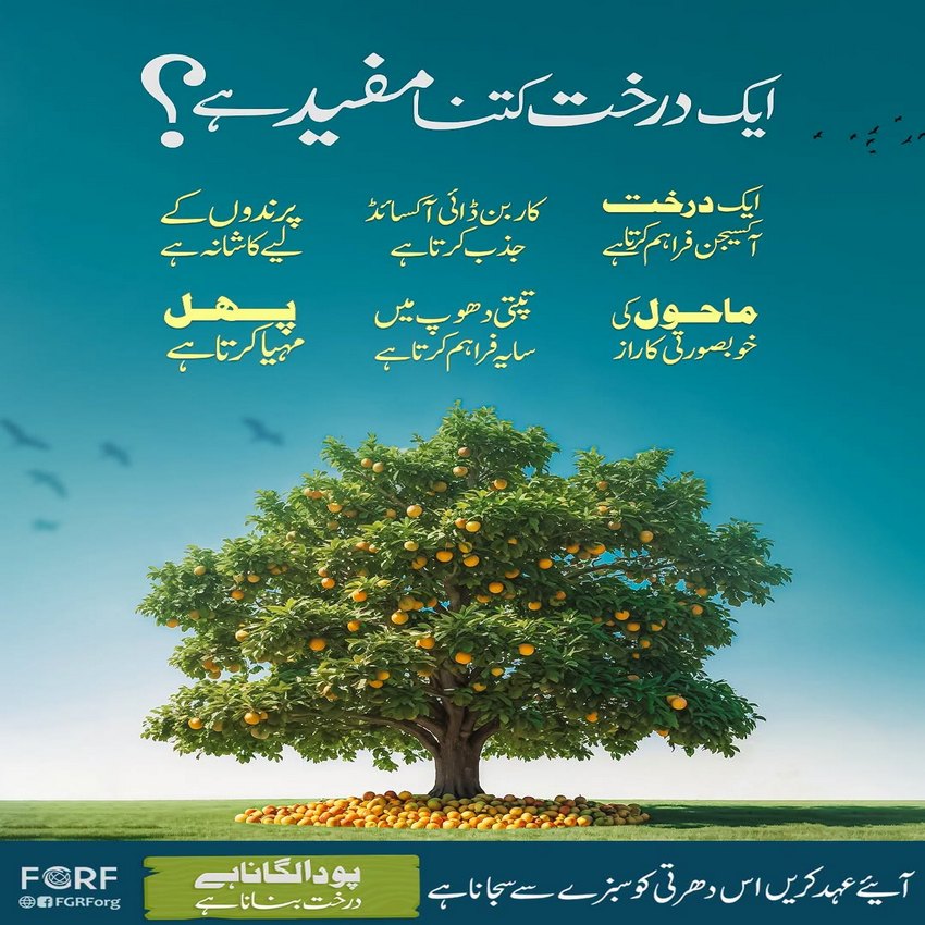 Aik Darakht Bohot Se Faiday