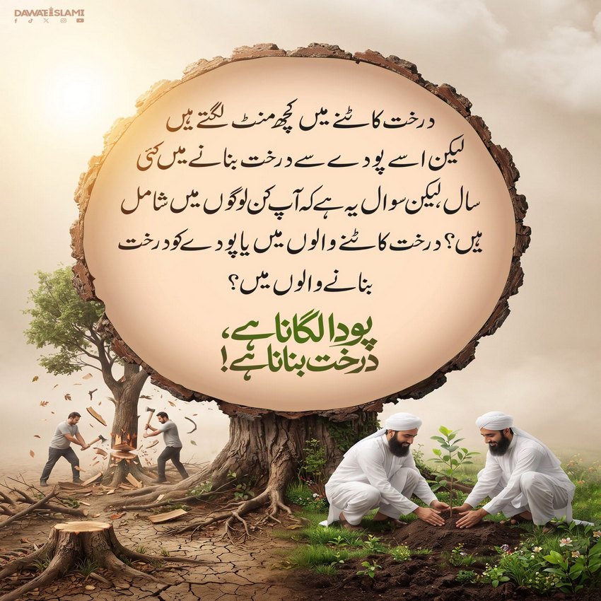 Poda Lagaein