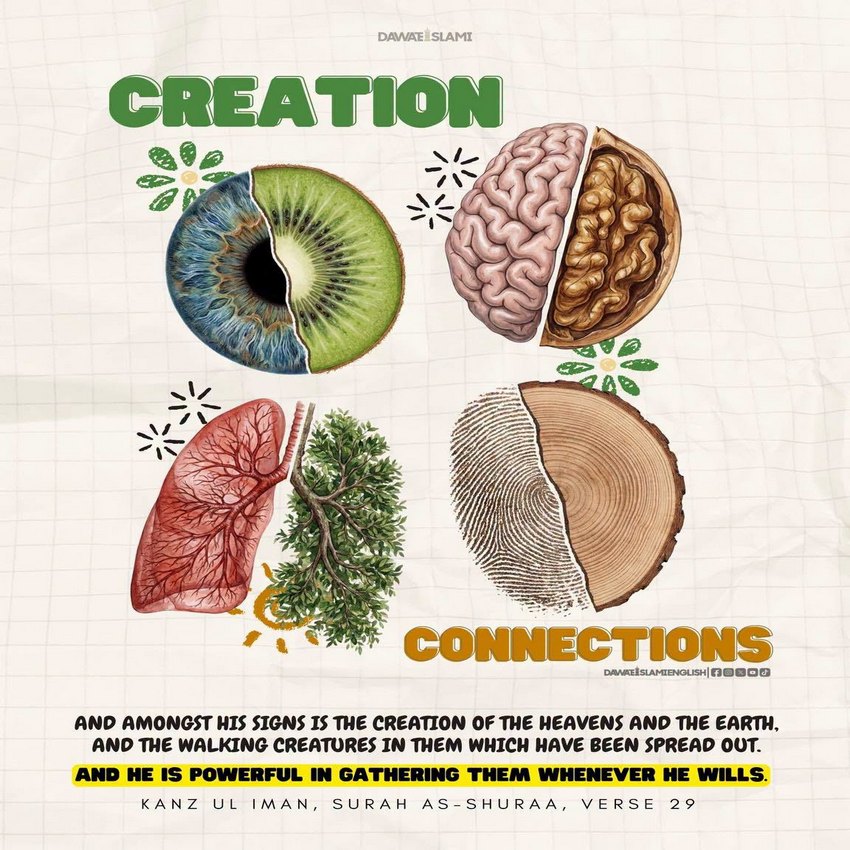 The beauty of creation is a reminder of the Creator..!