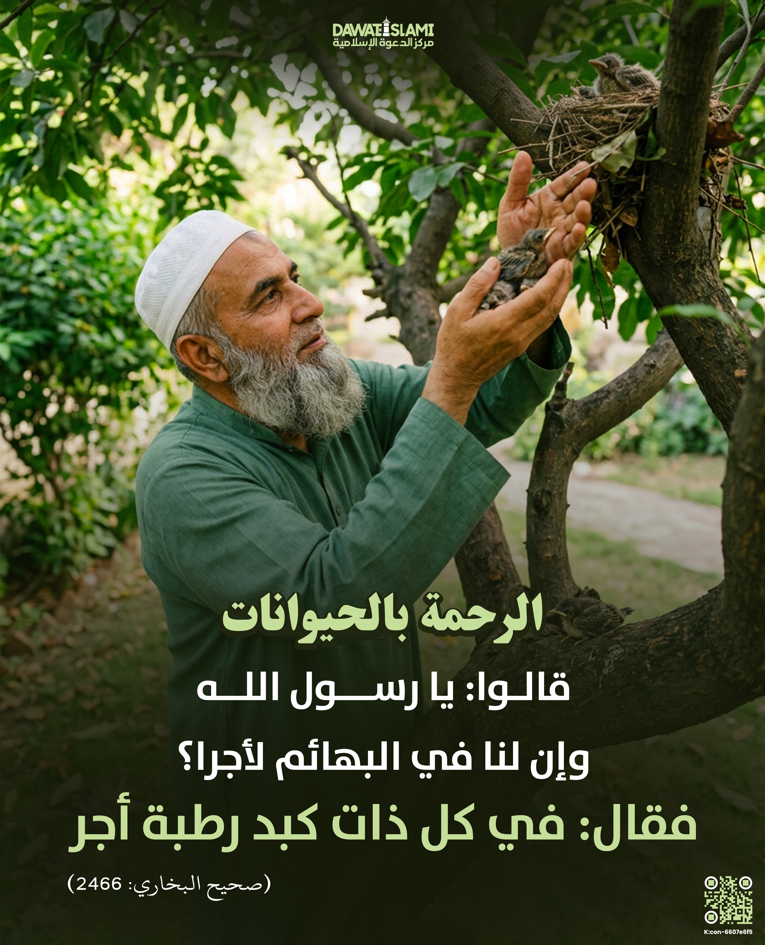الرحمة بالحيوانات