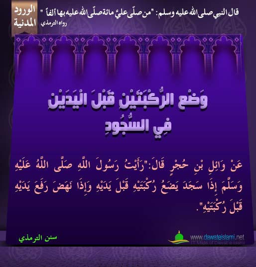 وَضْعِ الرُّكْبَتَيْنِ قَبْلَ الْيَدَيْنِ فِي السُّجُودِ