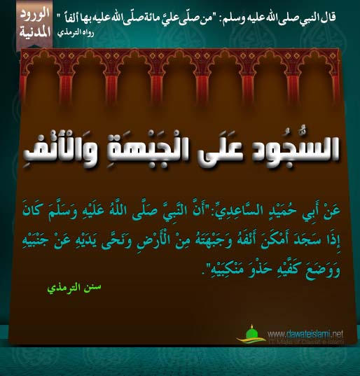 السُّجُودِ عَلَى الْجَبْهَةِ وَالْأَنْفِ