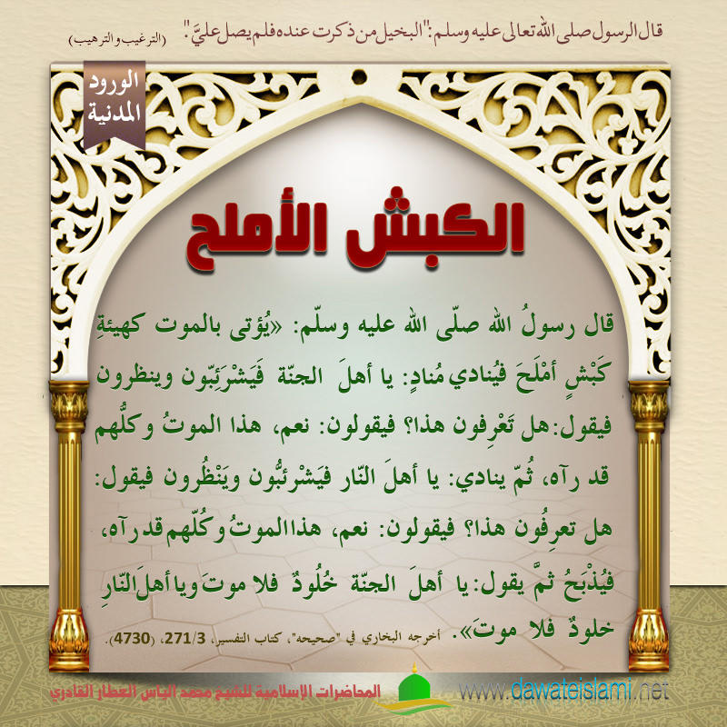 الكبش الأملح