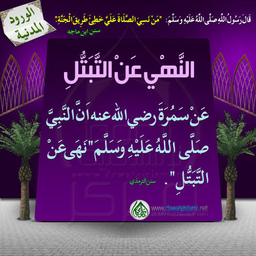 النَّهْيِ عَنْ التَّبَتُّلِ