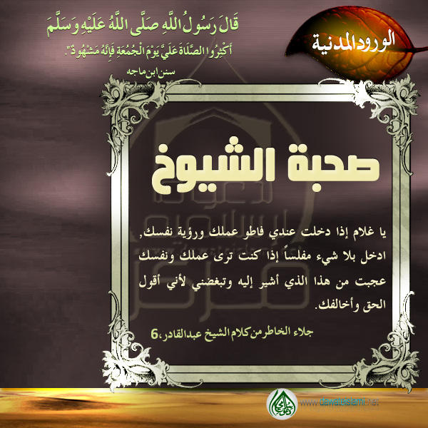 صحبة الشيوخ