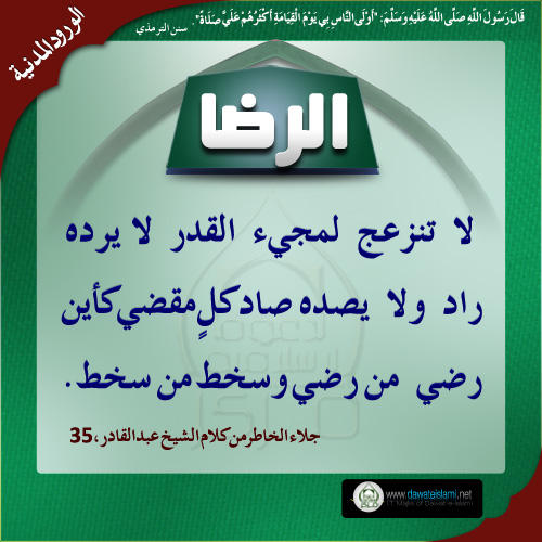 الرضا