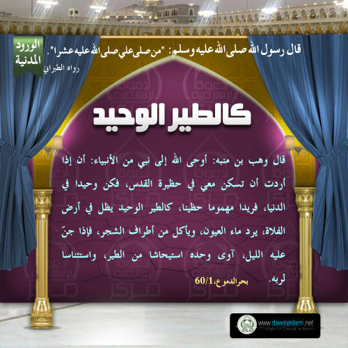 كالطير الوحيد