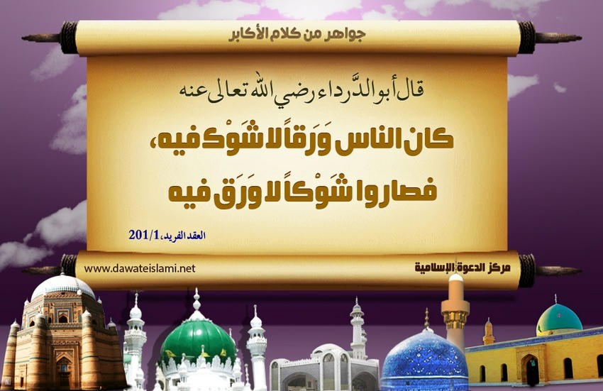 شوك بلا ورق