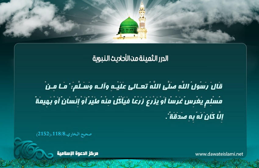 الغرس صدقة