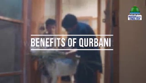 Benefits of Qurbani