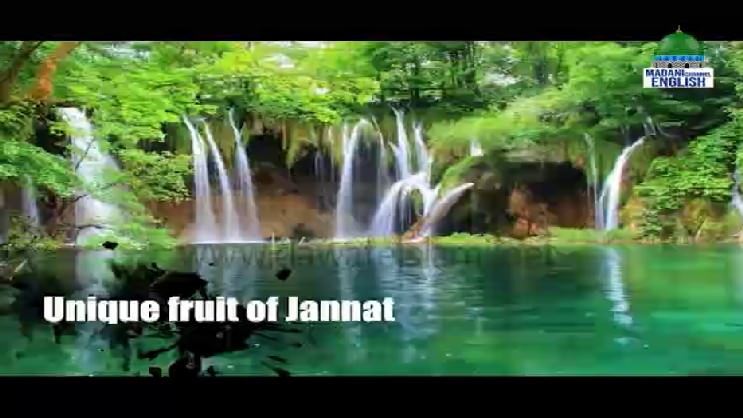 Unique Fruit Of Jannat