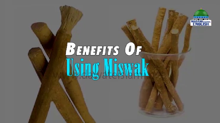 Benefits Of Using Miswak