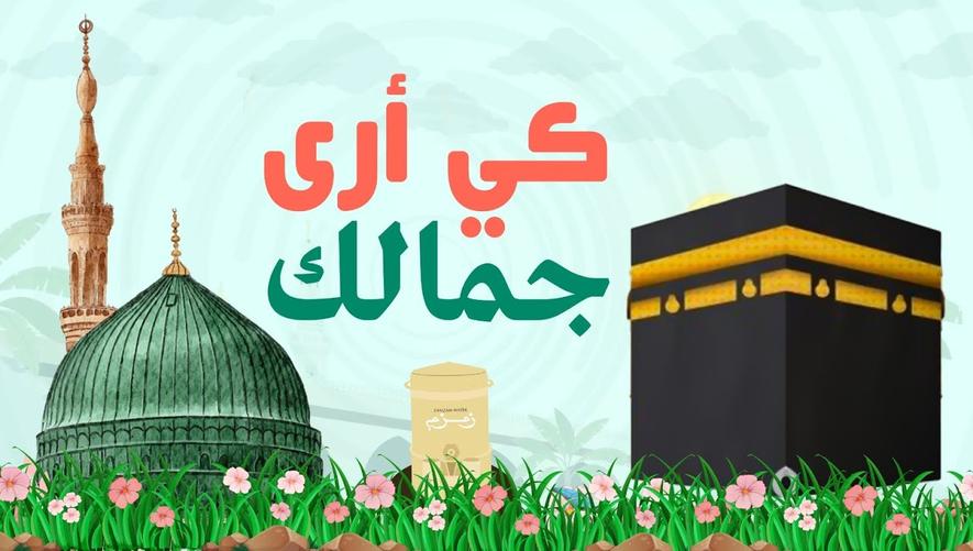 صل يا نبي كي أرى جمالك | نشيدة رائعة لمن حجّ وزار قبره الشريف لنستمع معاً