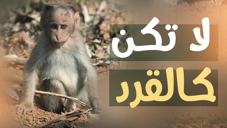 لا تكن كالقرد | قصة القرد والندم العاطفي | Negative thinking | Monkey hunting