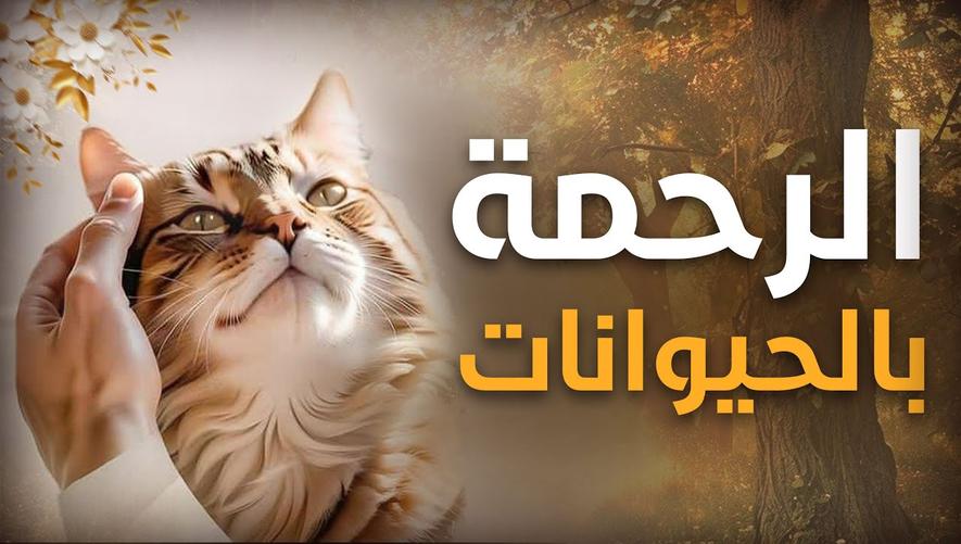 كيف يعامل الإسلام الحيوان برحمة | story of the thirsty dog
