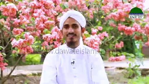 media image