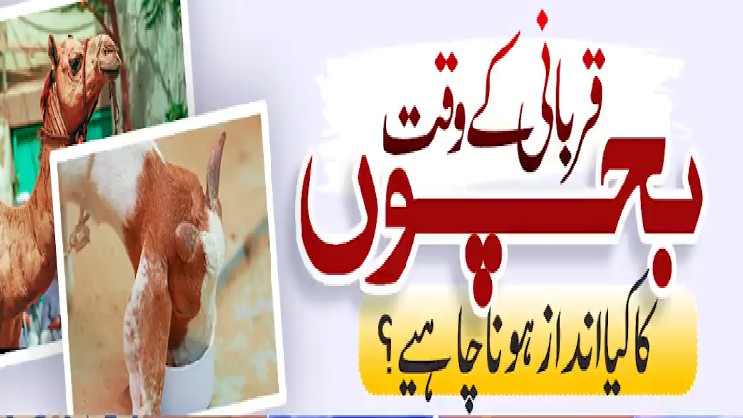 media image