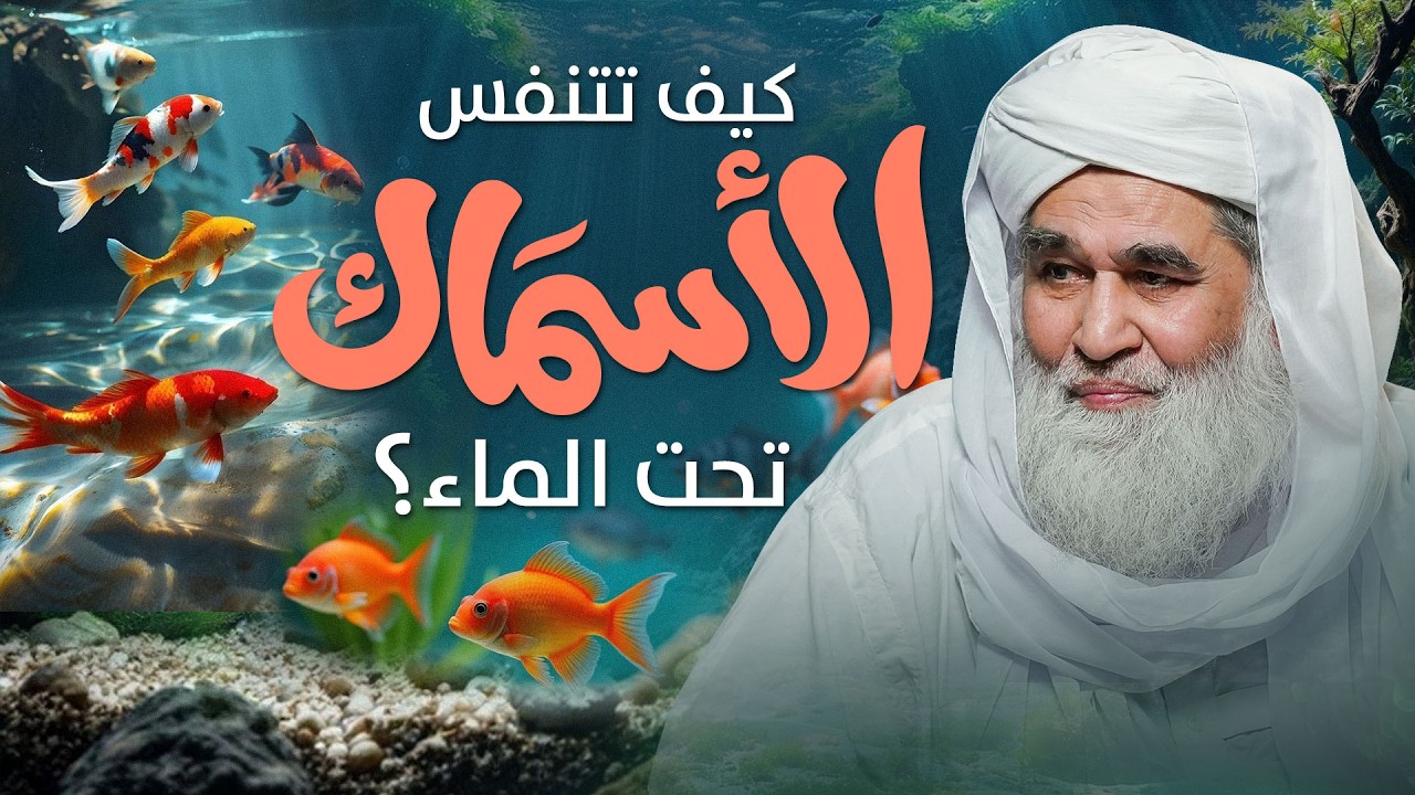 ما هي خياشيم السمك؟  | كيف تساعد الأسماك على التنفس؟
