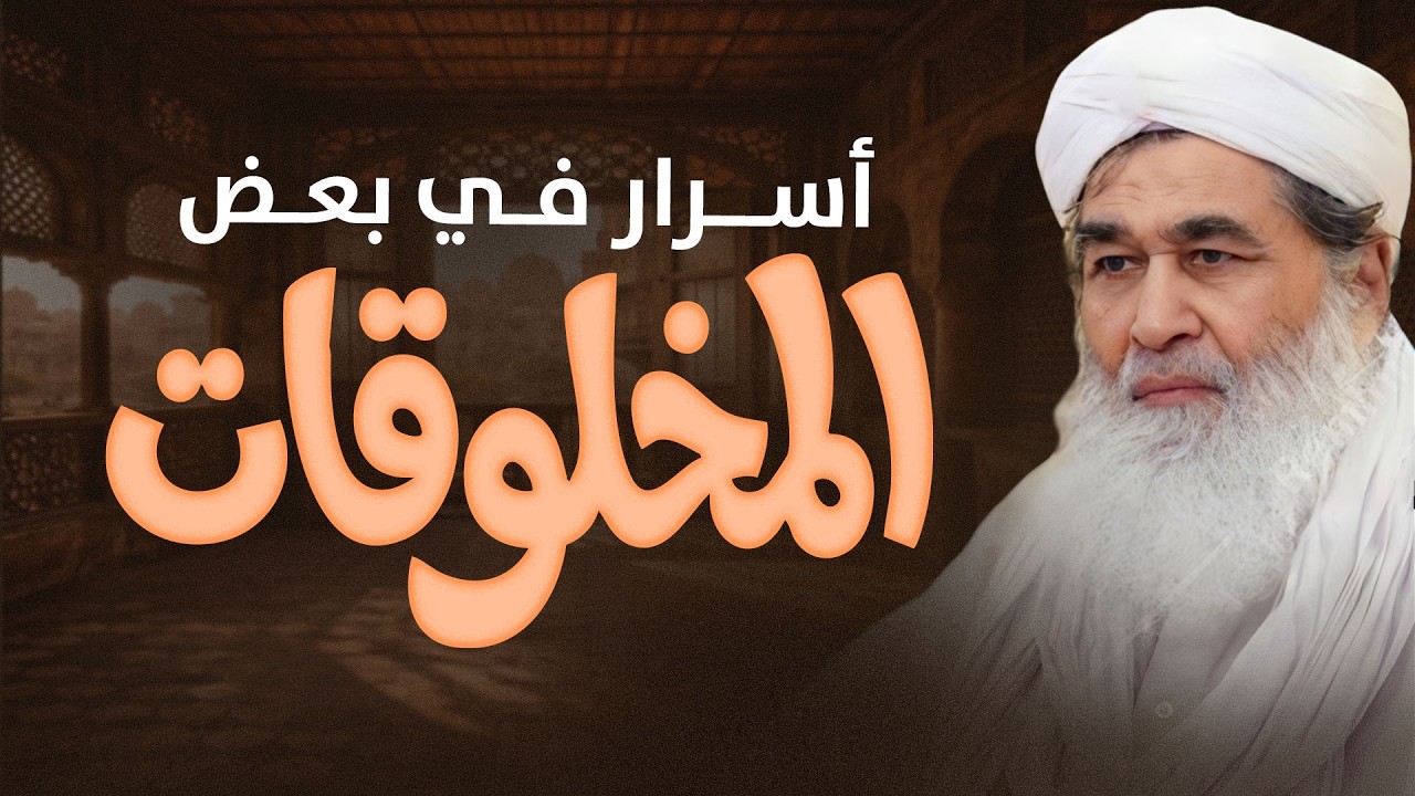 أسرار في بعض المخلوقات | عجائب خلق الله في الإنسان والحيوان | Amazing Creation