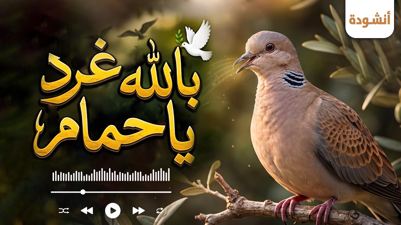 بالله غرد يا حمام | أناشيد المولد النبوي | Nasheed