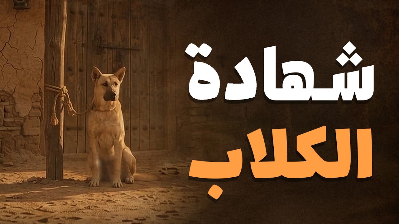 شهادة الكلاب! | قصة عجيبة تكشف كذب الشهود | الصدق ينجي والكذب يهلك | Story of Honesty