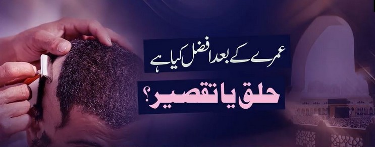 Short Clips