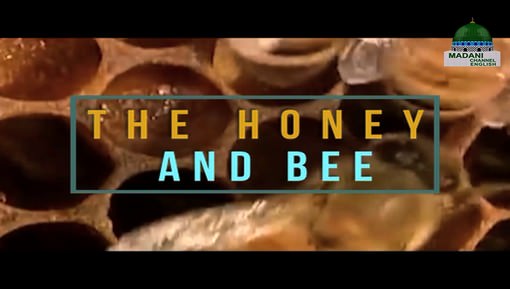 The Honey And Bee