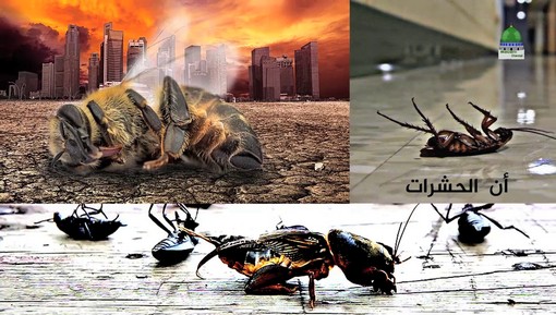  ماذا سيحدث لو انقرضت الحشرات من سطح الكرة الأرضية؟