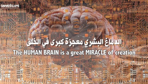 الدماغ البشري معجزة كبرى في الخلق