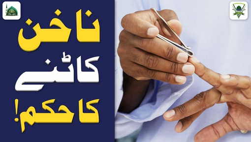 Is it permissible to trim your nails and cut your hair if you intend to do  a sacrifice (qurbani) on Eid? – Utrujj