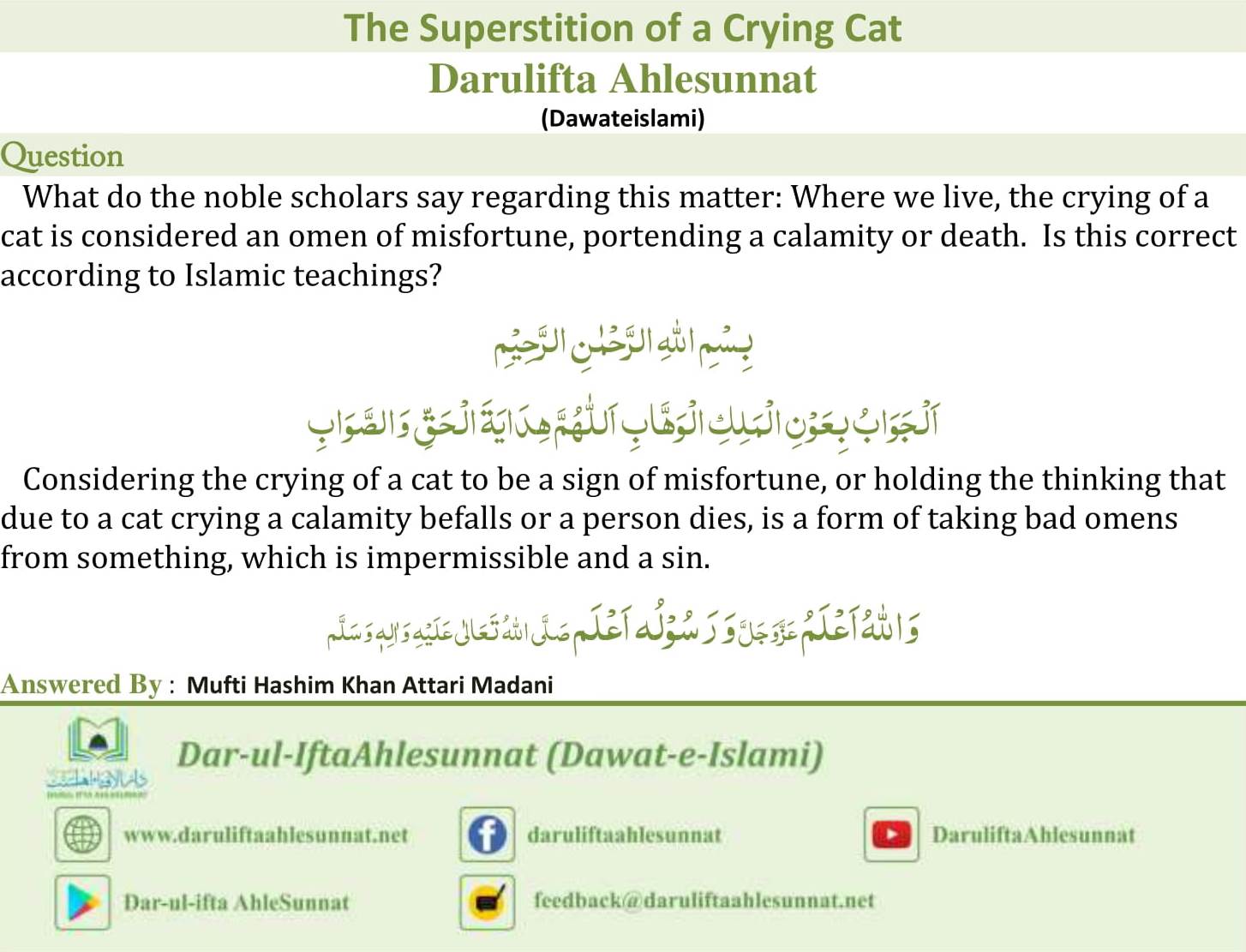 Cat Crying at Night Spiritual Meaning  