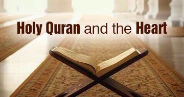 Holy Quran and the Heart