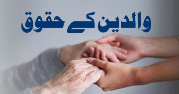 والدین کے حقوق