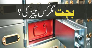 بچت مگر کس چیز کی؟