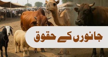 جانورں کے حقوق