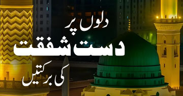 دلوں پر دست شفقت کی برکتیں