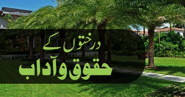 درختوں کے حقوق و آداب